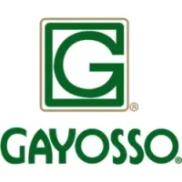 Logo de Cliente Destacado en 'Gayosso' que Confía en Urnas Sacbé para su Historia de Amor y Respeto